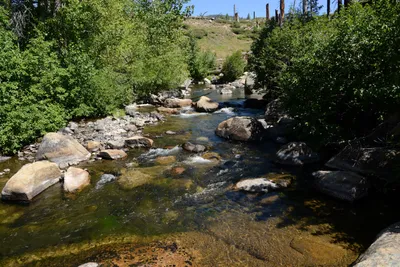 DSC_3788 (Large).JPG